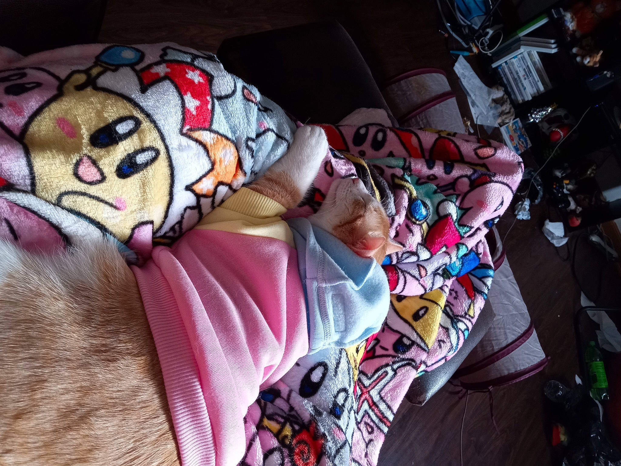 Kirby is registered to the contest to win money with this photo: bed_sheet, bedding, blanket, child, comfort, couch, eyewear, felidae, flesh, fur, human_leg, linens, pattern, room, stuffed_toy, suit, sunglasses, t_shirt, visual_arts