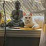 animal, buddha_statue, cat, cozy, curtains, decor, home, indoor, mesh_screen, peaceful, pet, plant_stem, quiet, relaxing, resting, statue, sunlight, white_cat, window, windowsill