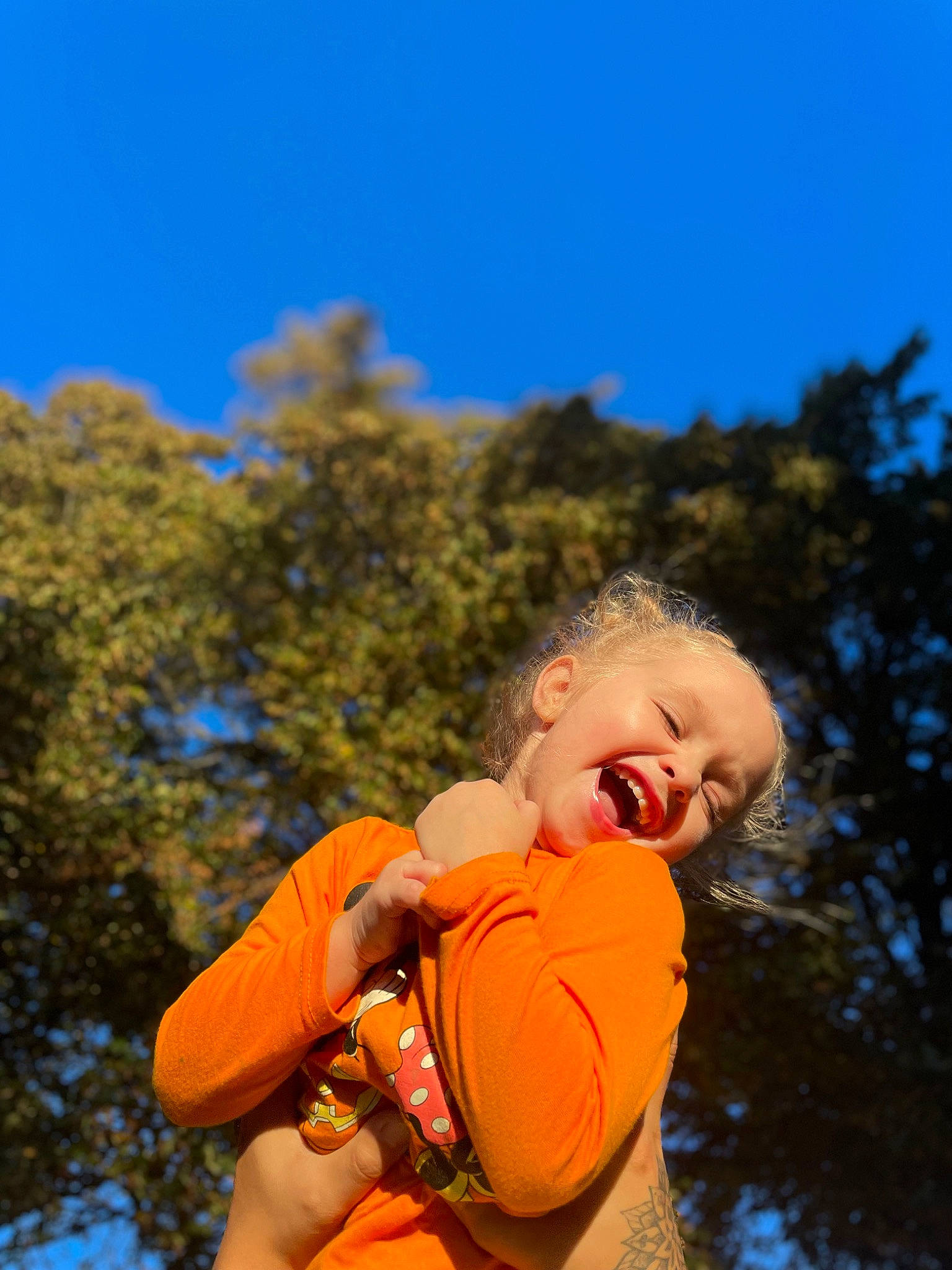 Olive joined the competition — help win amazing prizes! autumn, baby, child, cloud, electric_blue, flash_photography, fun, grass, happy, landscape, leisure, people_in_nature, person, personal_protective_equipment, plant, portrait_photography, recreation, sitting, sky, toddler