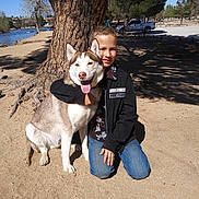 Kona is registered to the contest to win money with this photo: boy, dog, husky, tree, sand, lake, water, sky, outdoor, sunny, park, vehicle, pickup_truck, shadow, kneeling, smiling, pet, nature, casual_clothing, daytime