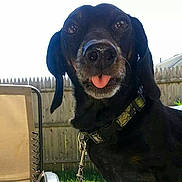 Marley Man is registered to the contest to win money with this photo: