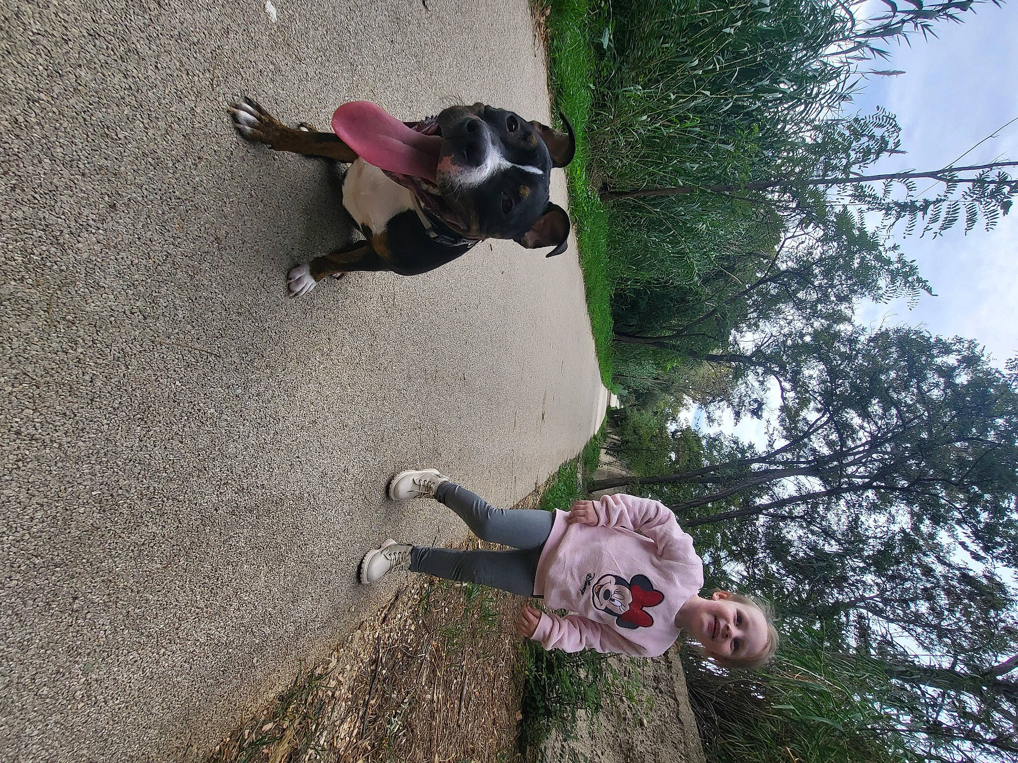 Lyla participe au concours pour gagner de l'argent avec cette photo : adventure, asphalt, carnivore, companion_dog, dog, dog_breed, fawn, fun, grass, joy, leash, leisure, people_in_nature, person, pet_supply, plant, recreation, sky, soil, sporting_group