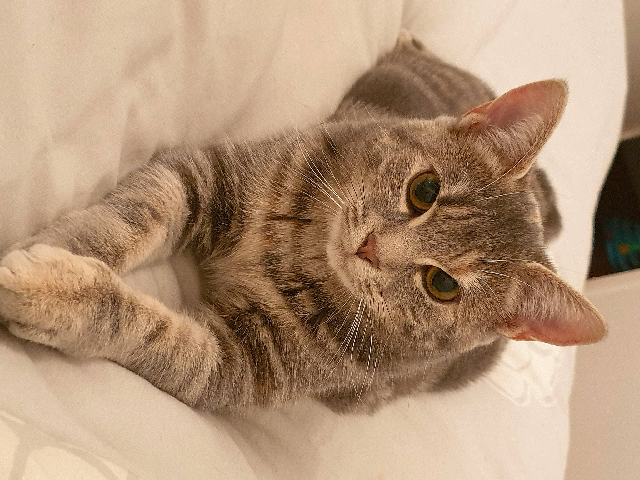 Sissi