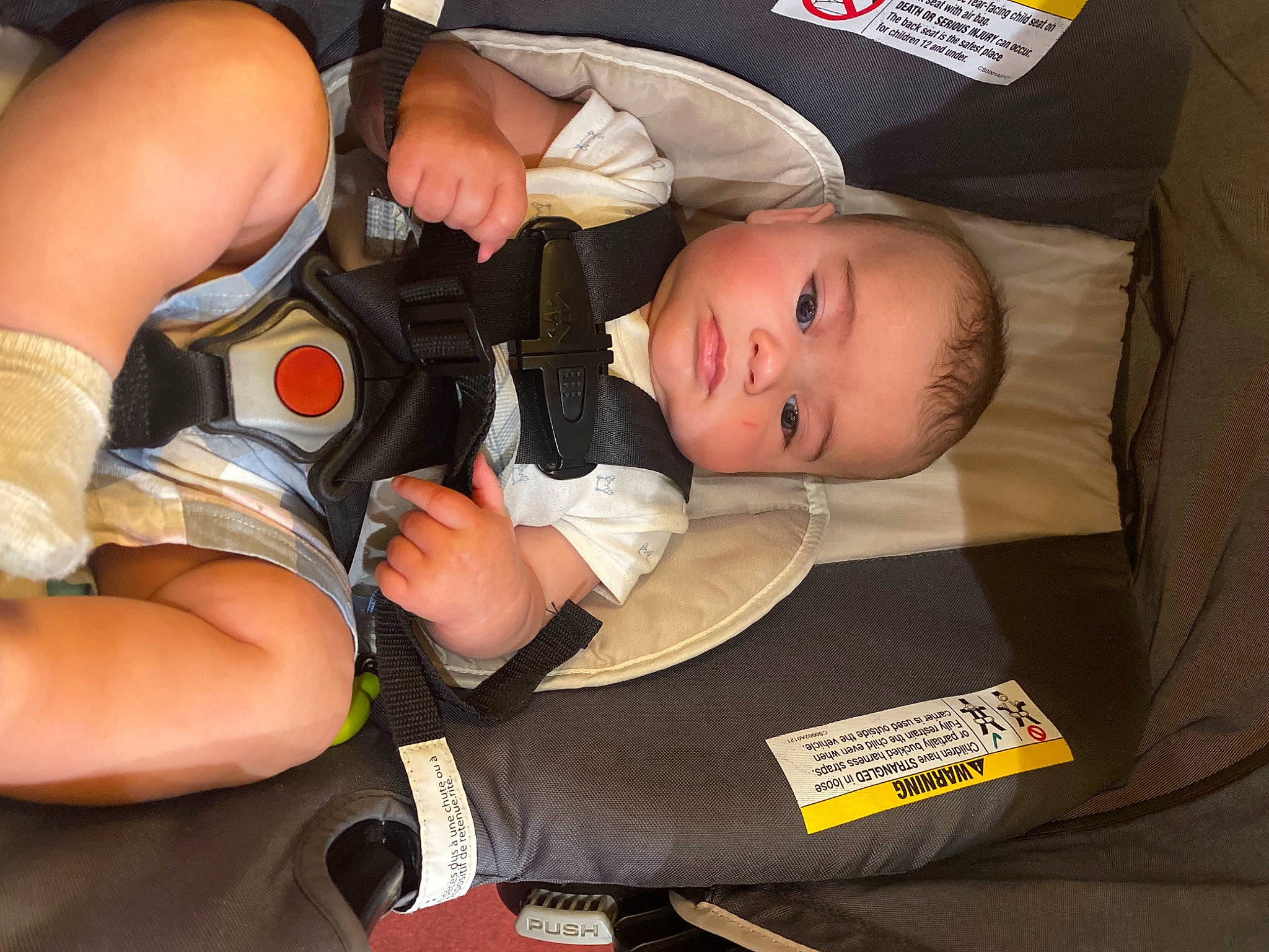 Beckham is registered to the contest to win money with this photo: abdomen, baby, baby_carriage, baby_products, baby_toddler_clothing, car_seat, chest, child, comfort, elbow, fun, hat, human_leg, knee, lap, nail, person, sitting, thigh, toddler