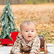 Jaxon is registered to the contest to win money with this photo: baby, child, plaid_shirt, sled, wooden_sled, autumn, fall_leaves, outdoor, seasonal, christmas_tree, miniature_tree, holiday_decor, cute, portrait, smiling, nature, season, baby_clothing, winter, festive