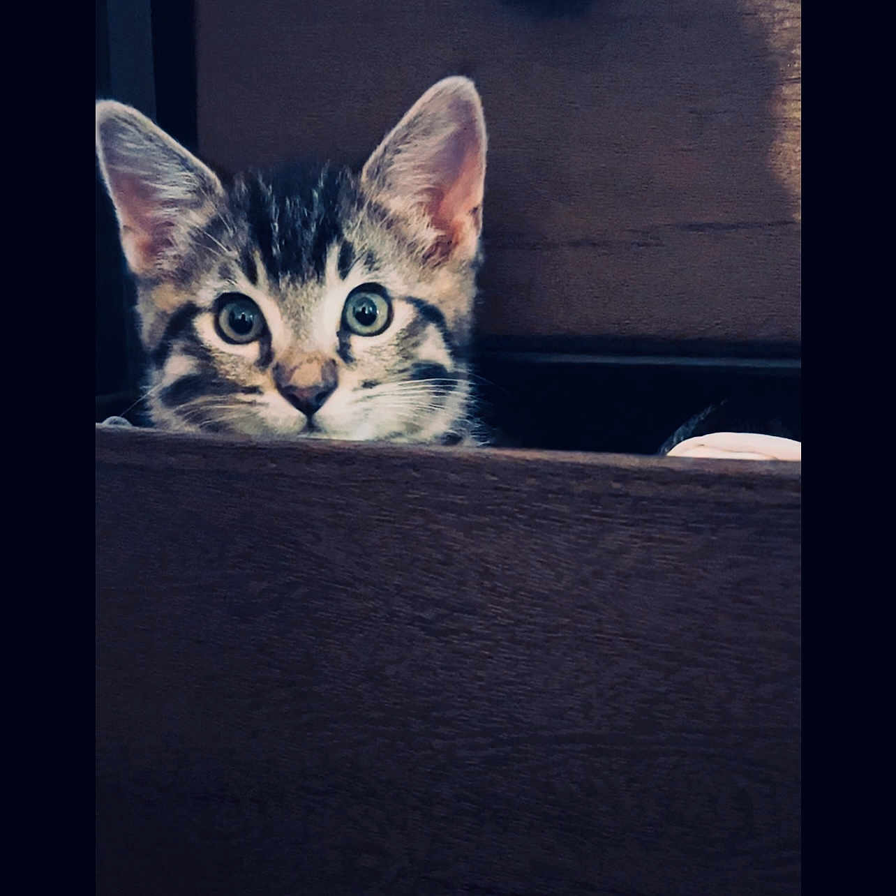 Kiki