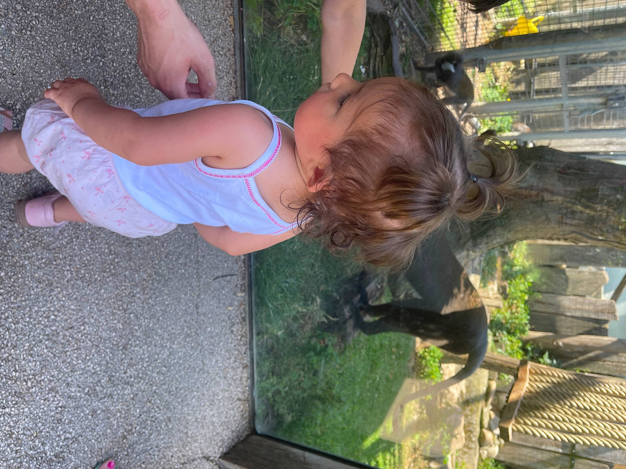 Neila participe au concours pour gagner de l'argent avec cette photo : baby, baby_toddler_clothing, child, foot, fun, grass, human_leg, knee, landscape, leisure, person, plant, shorts, thigh, toddler, tree, vacation