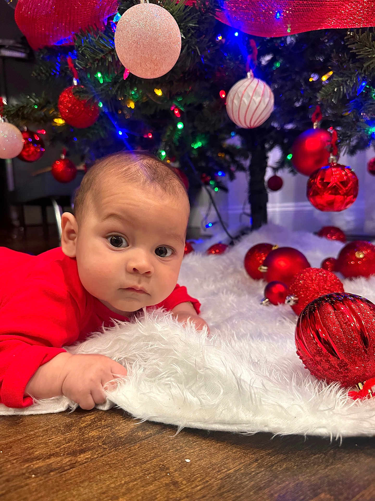 Matthew joined the competition — help win amazing prizes! baby, celebration, child, christmas_tree, closeup, curious, decorations, face, festive, floor, flooring, holiday, holiday_lights, indoors, ornaments, person, red_clothing, seasonal, toddler, white_fabric