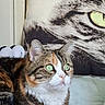 cat, calico_cat, feline, pet, animal, green_eyes, whiskers, ears, fur, tabby, white_fur, orange_fur, black_fur, sitting, portrait, indoors, bed, pillow, blanket, plush_toy