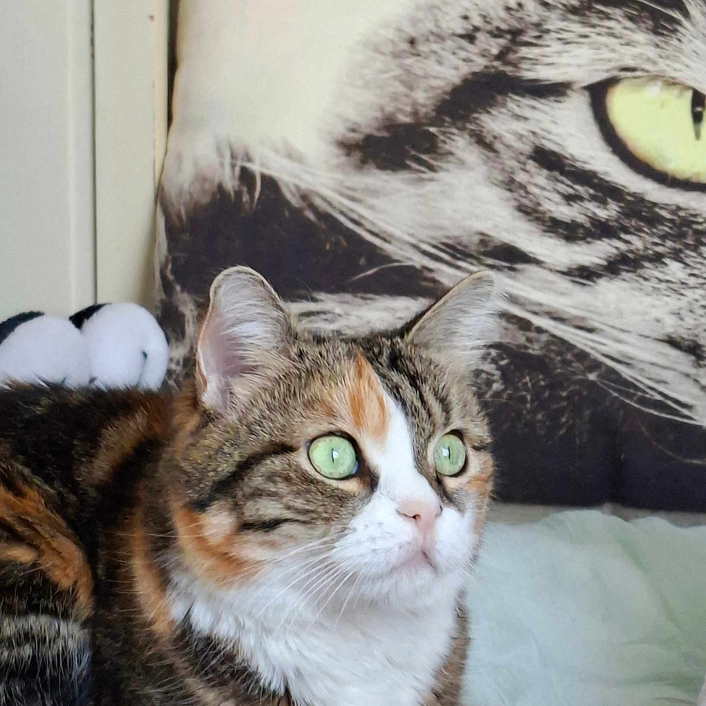 Nala