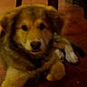 Fluffy participe au concours pour gagner de l'argent avec cette photo :