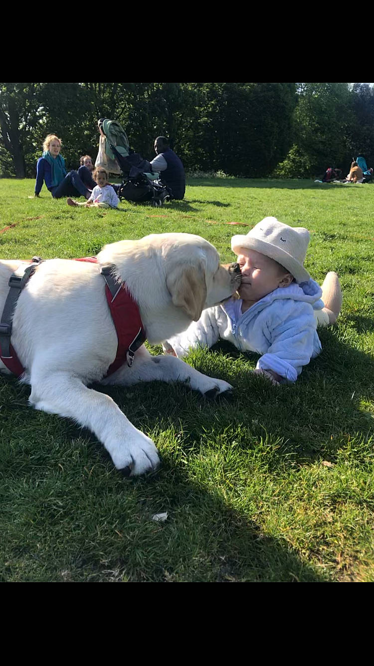 Allyson Scarlett a rejoint le concours — aidez-le/la à gagner de superbes lots ! blurred, carnivore, companion_dog, dog, dog_breed, fun, grass, grassland, green, happy, hat, headwear, lawn, leash, leisure, people_in_nature, person, plant, recreation, smile