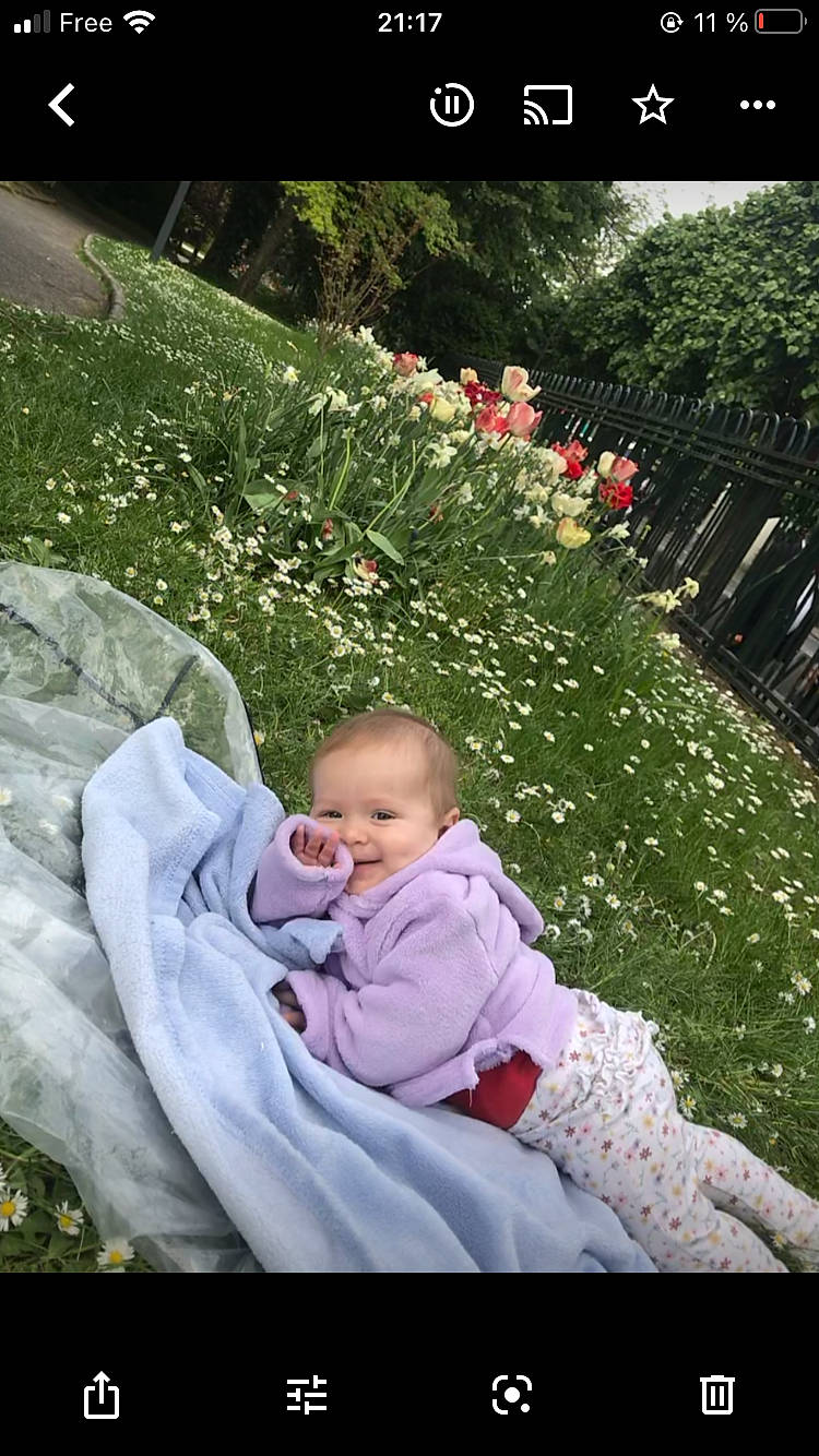 Allyson Scarlett a rejoint le concours — aidez-le/la à gagner de superbes lots ! adaptation, baby, botany, child, flower, fun, grass, happy, landscape, leaf, leisure, natural_environment, organism, people_in_nature, person, petal, plant, shrub, sitting, toddler