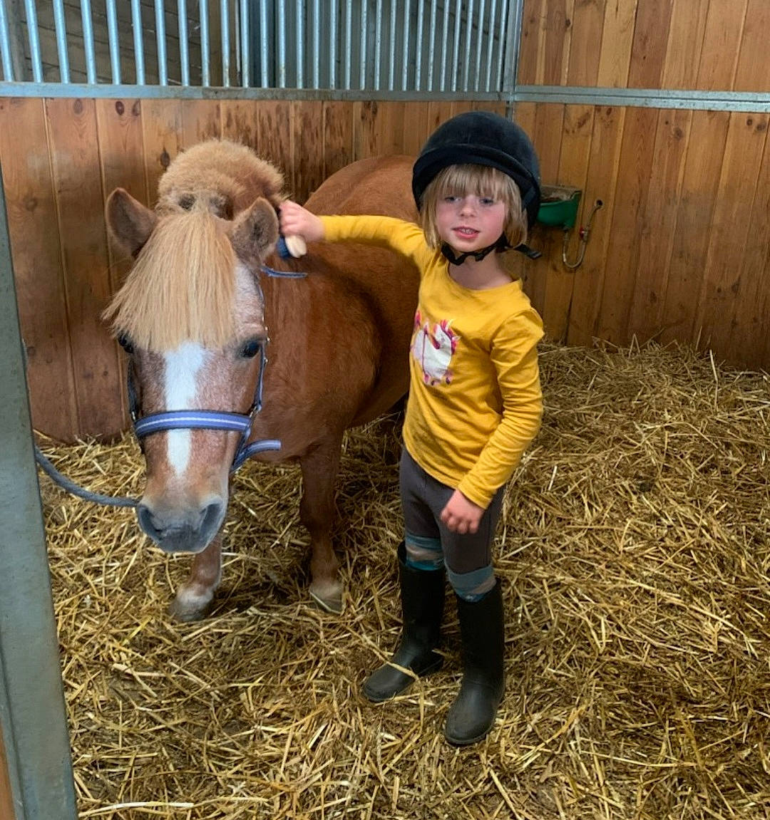 Anaya participe au concours pour gagner de l'argent avec cette photo : bridle, grass, hat, hay, horse, horse_supplies, horse_tack, landscape, liver, livestock, mane, mare, pack_animal, person, shetland_pony, stallion, straw, sun_hat, terrestrial_animal, toddler