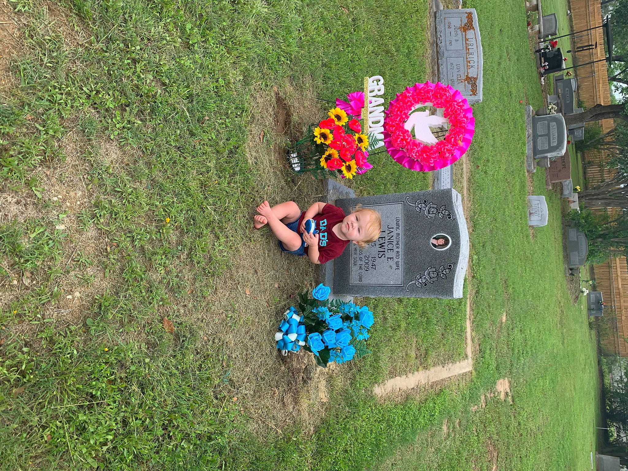 Nick joined the competition — help win amazing prizes! flower, garden, grass, lawn, person, plant, shrub, wildflower