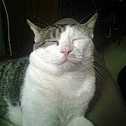 Banja a rejoint le concours — aidez-le/la à gagner de superbes lots !