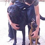 Sarko participe au concours pour gagner de l'argent avec cette photo :