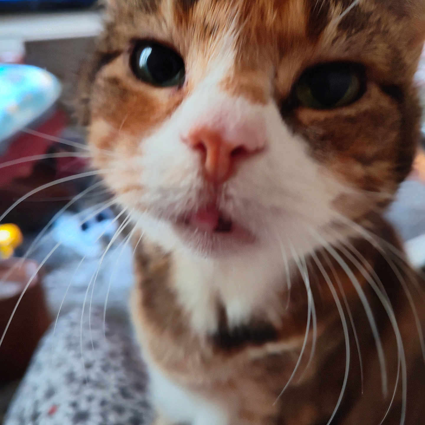 Chloe