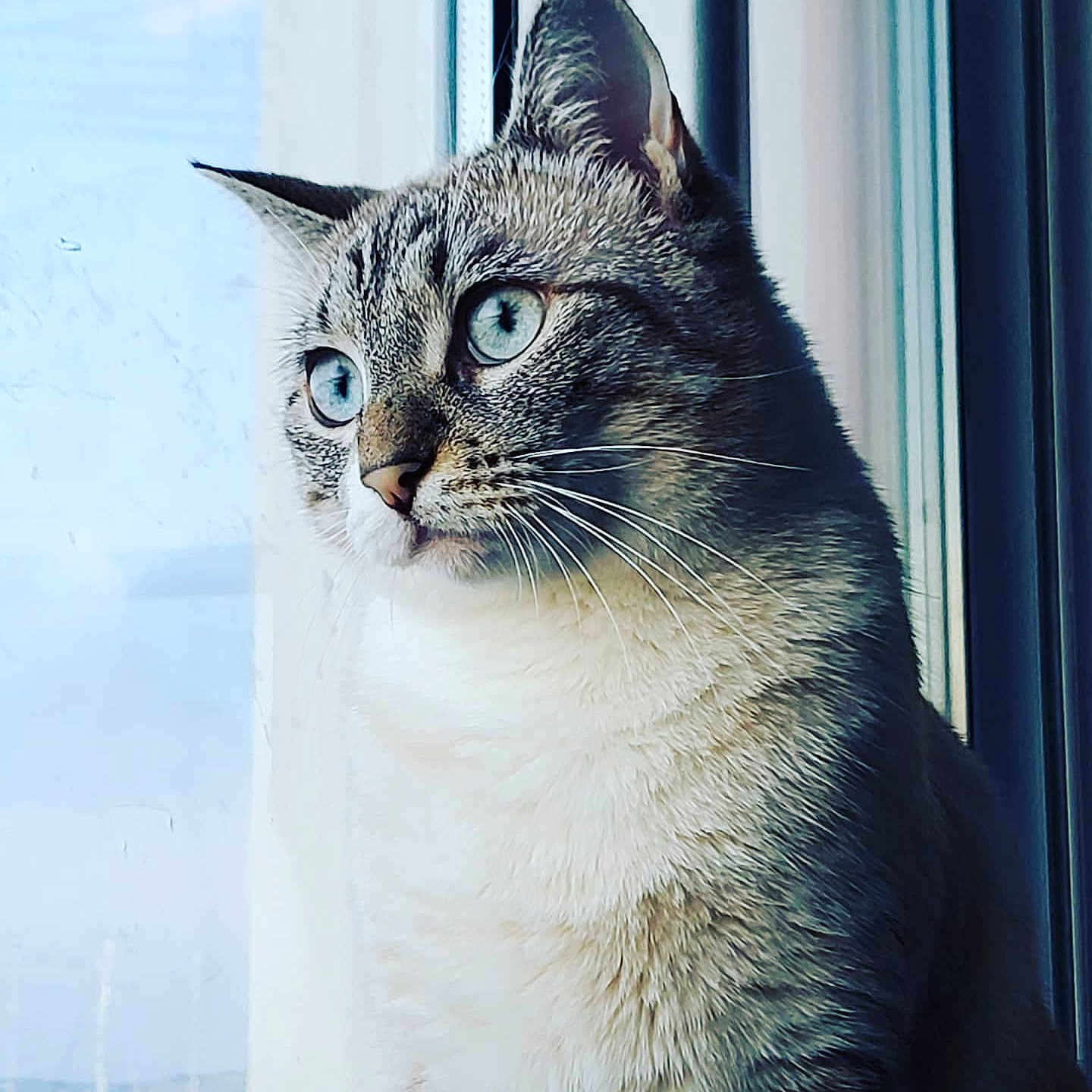 Roni