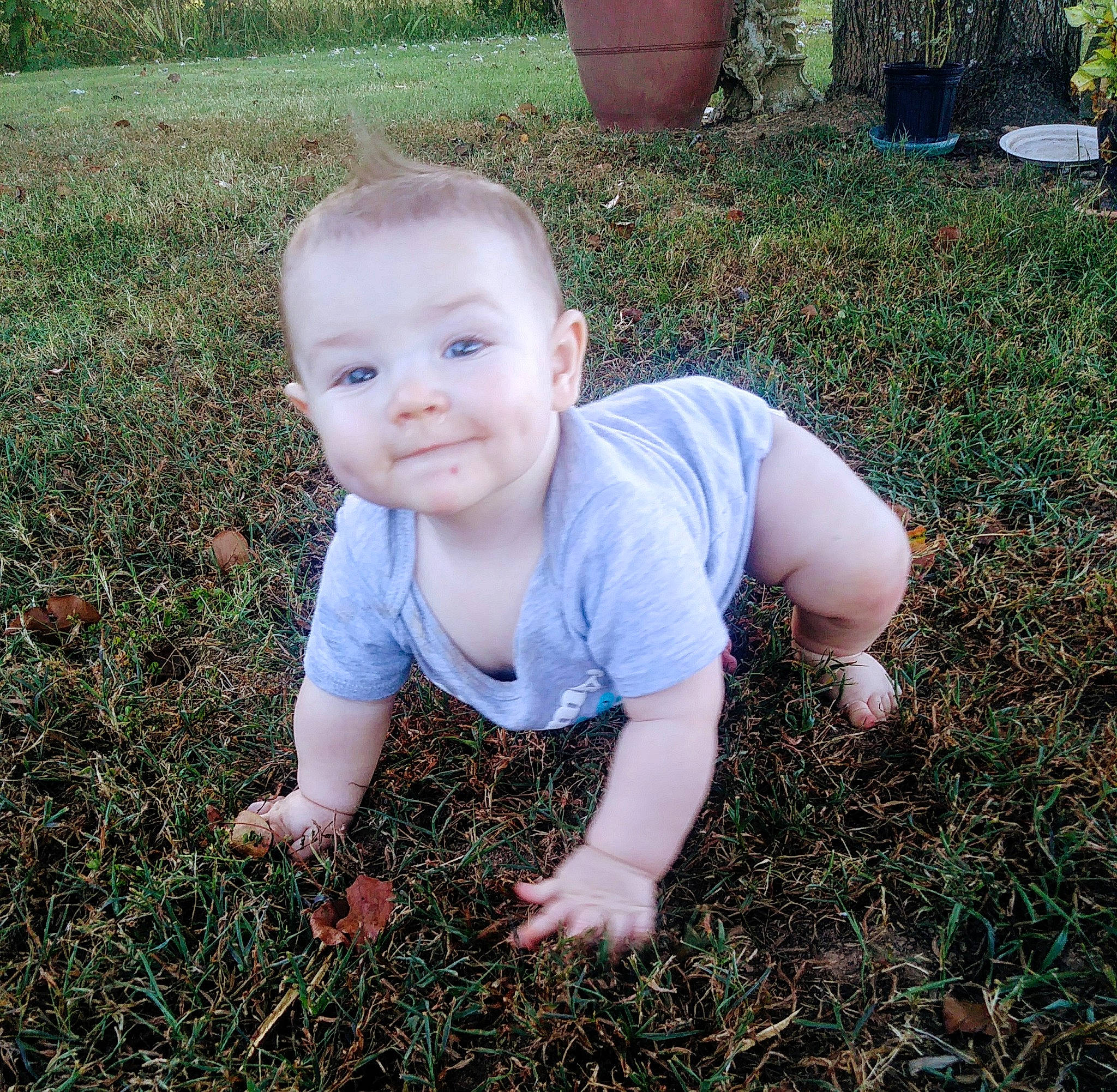Asher is registered to the contest to win money with this photo: baby, child, cool, eye, face, grass, grass_family, green, hand, head, lawn, leaf, leg, male, people, person, plant, skin, smile, summer