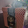Ramona Meowers is registered to the contest to win money with this photo: cat, gift_box, holiday, christmas_tree, indoor, pet, curious, striped, floor, decorations, festive, box, window, light, animal, domestic_cat, cute, feline, playful, home