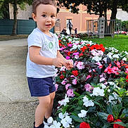 Milan Dominic a rejoint le concours — aidez-le/la à gagner de superbes lots ! casual_clothing, child, cute, daylight, flower_bed, flowers, grass, greenery, happy, nature, outdoor, park, pathway, person, shorts, smiling, sneakers, toddler, trees, tshirt