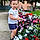 Milan Dominic