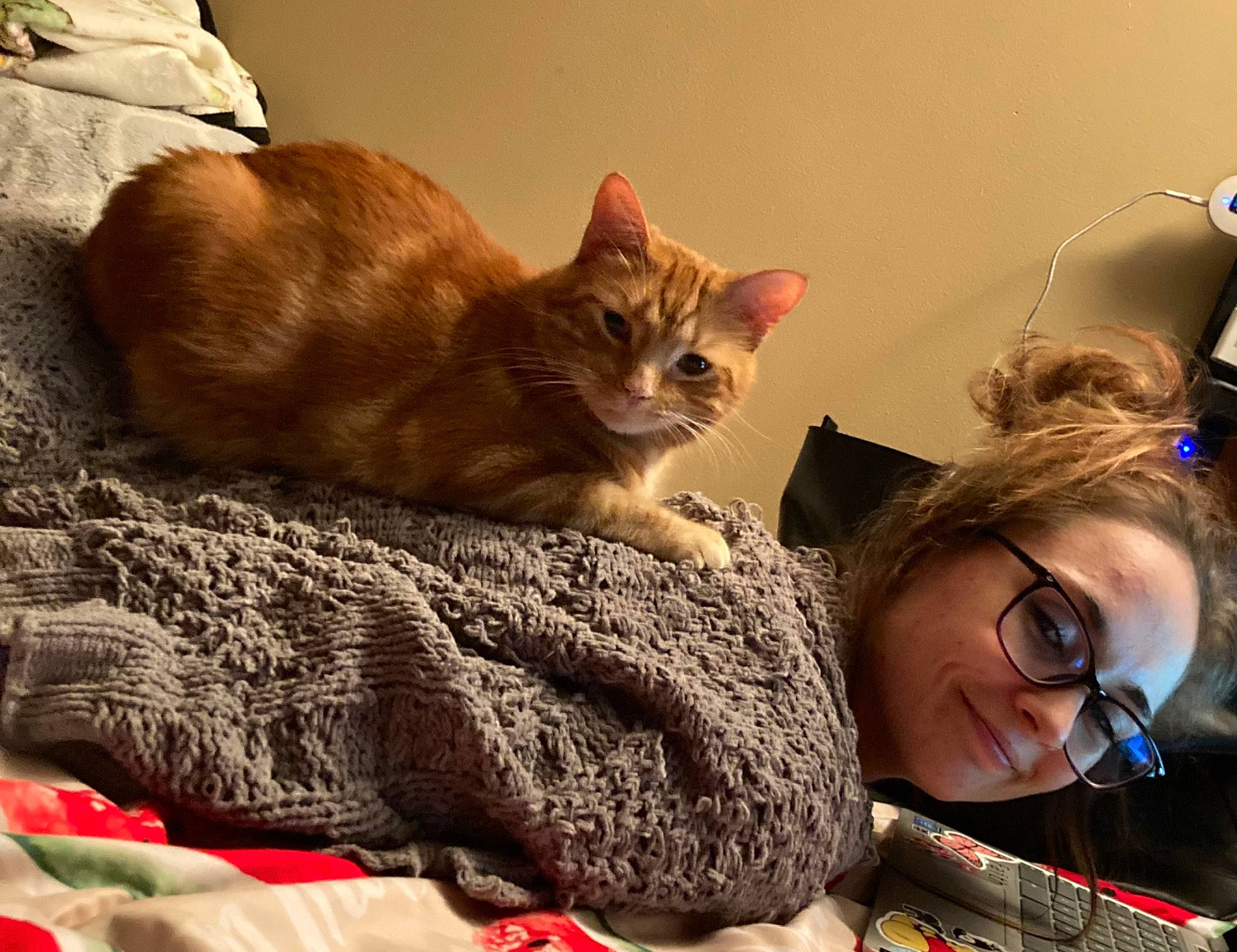 Denali is registered to the contest to win money with this photo: carnivore, cat, comfort, couch, domestic_short_haired_cat, eyewear, fawn, felidae, fur, glasses, happy, lap, linens, sitting, small_to_medium_sized_cats, sunglasses, tail, tree, whiskers, wood