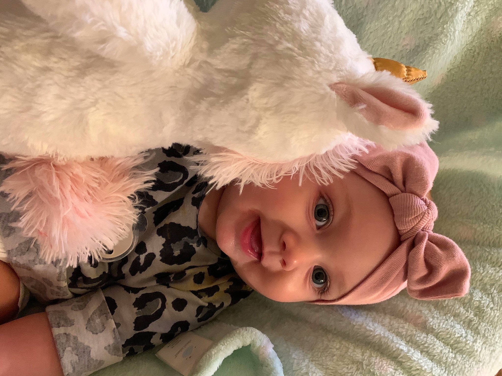 Delanie joined the competition — help win amazing prizes! baby, child, companion_dog, ear, eye, fictional_character, fur, headwear, nose, person, puppy_love, skin, toddler