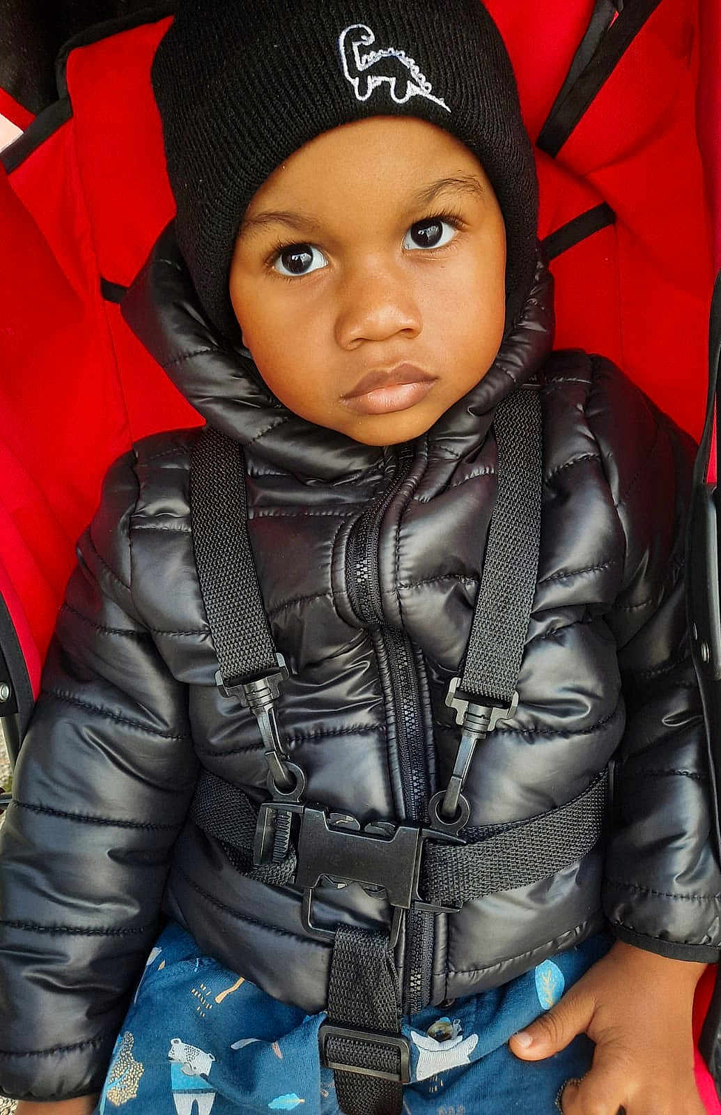 Gabriel participe au concours pour gagner de l'argent avec cette photo : child, toddler, puffer_jacket, black_jacket, beanie, hat, dinosaur_logo, stroller, red_stroller, seatbelt, straps, clothing, outerwear, portrait, face, serious_expression, hand, blue_pants, patterned_pants, baby