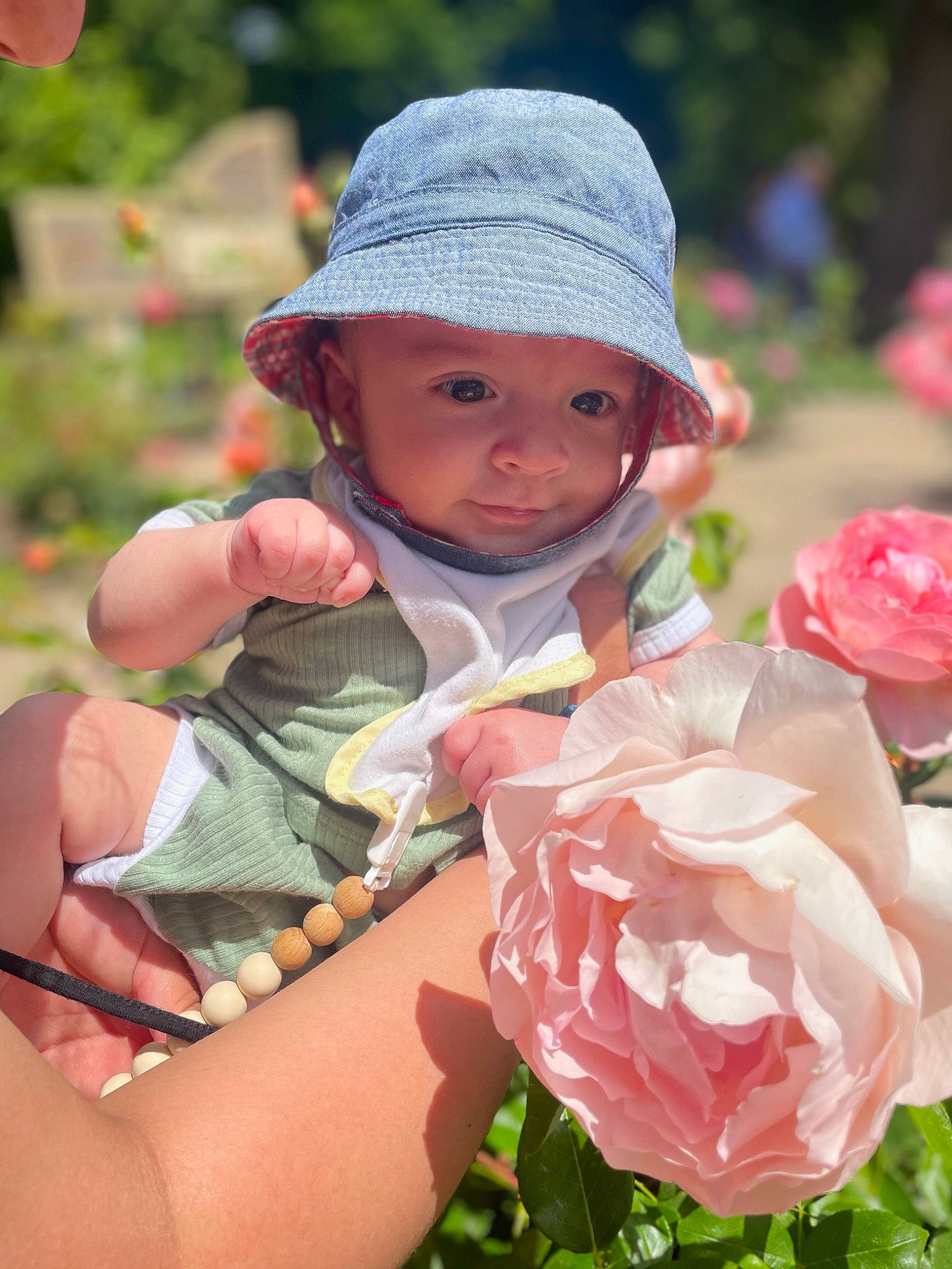 Matías joined the competition — help win amazing prizes! baby, baby_toddler_clothing, botany, cap, child, flower, grass, happy, hat, headgear, headwear, hybrid_tea_rose, leaf, leisure, people_in_nature, person, petal, pink, plant, skin