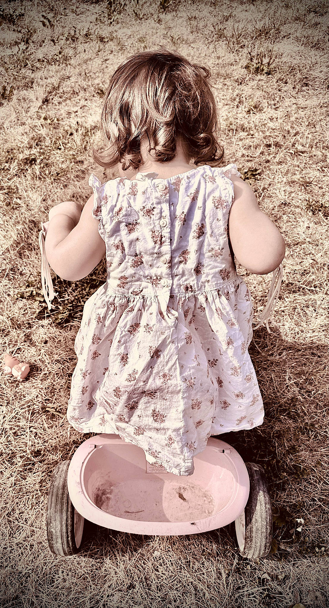 Lilliana joined the competition — help win amazing prizes! adaptation, beauty, dress, grass, hairstyle, happy, human_leg, mammal, monochrome, organ, people_in_nature, person, photograph, plant, sleeve, style, tints_and_shades, toddler, vertebrate, waist