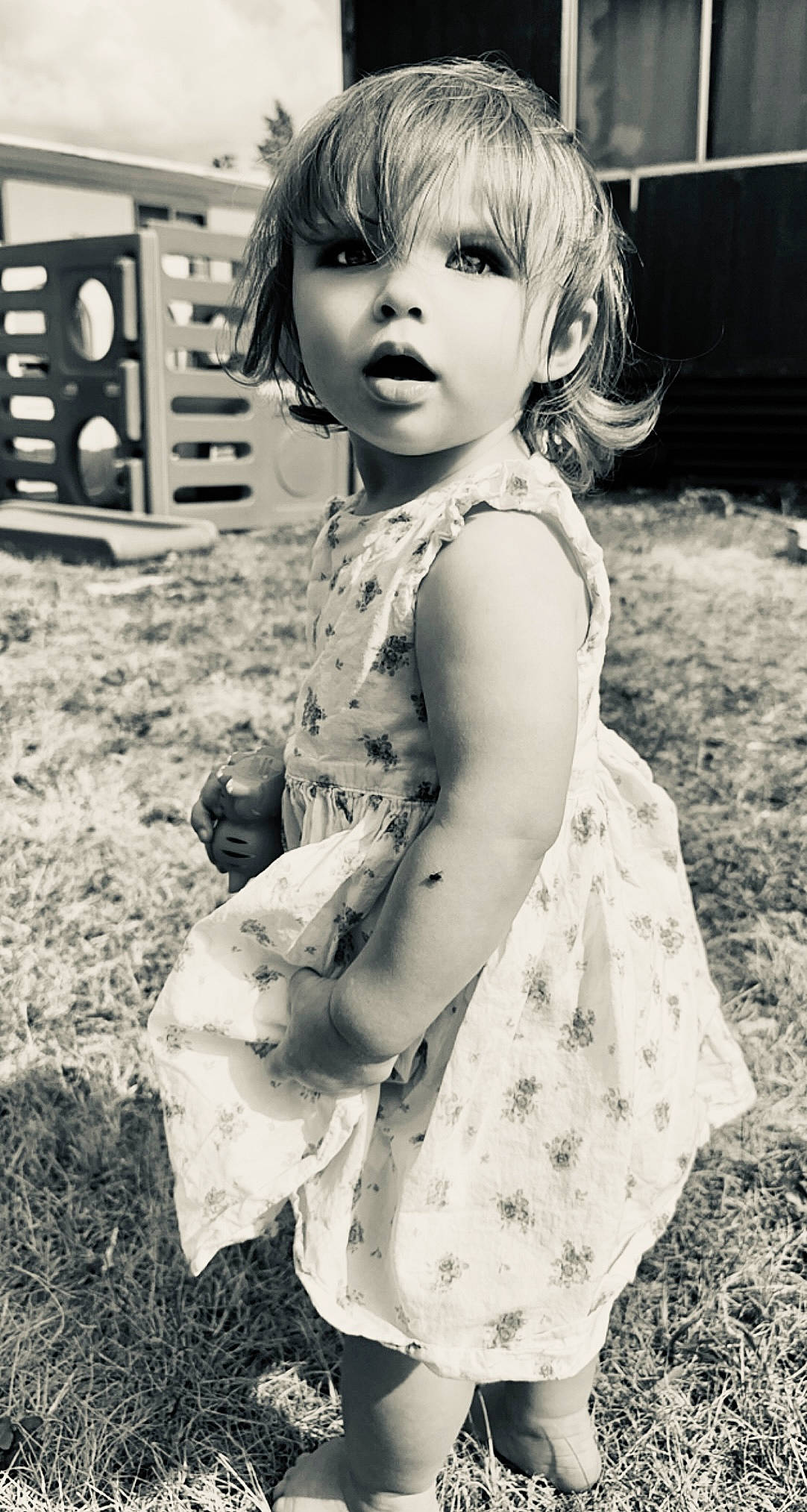 Lilliana is registered to the contest to win money with this photo: black_and_white, child, dress, eye, flash_photography, grass, hair, hairstyle, happy, head, monochrome, people, people_in_nature, person, photograph, plant, sleeve, standing, style, toddler