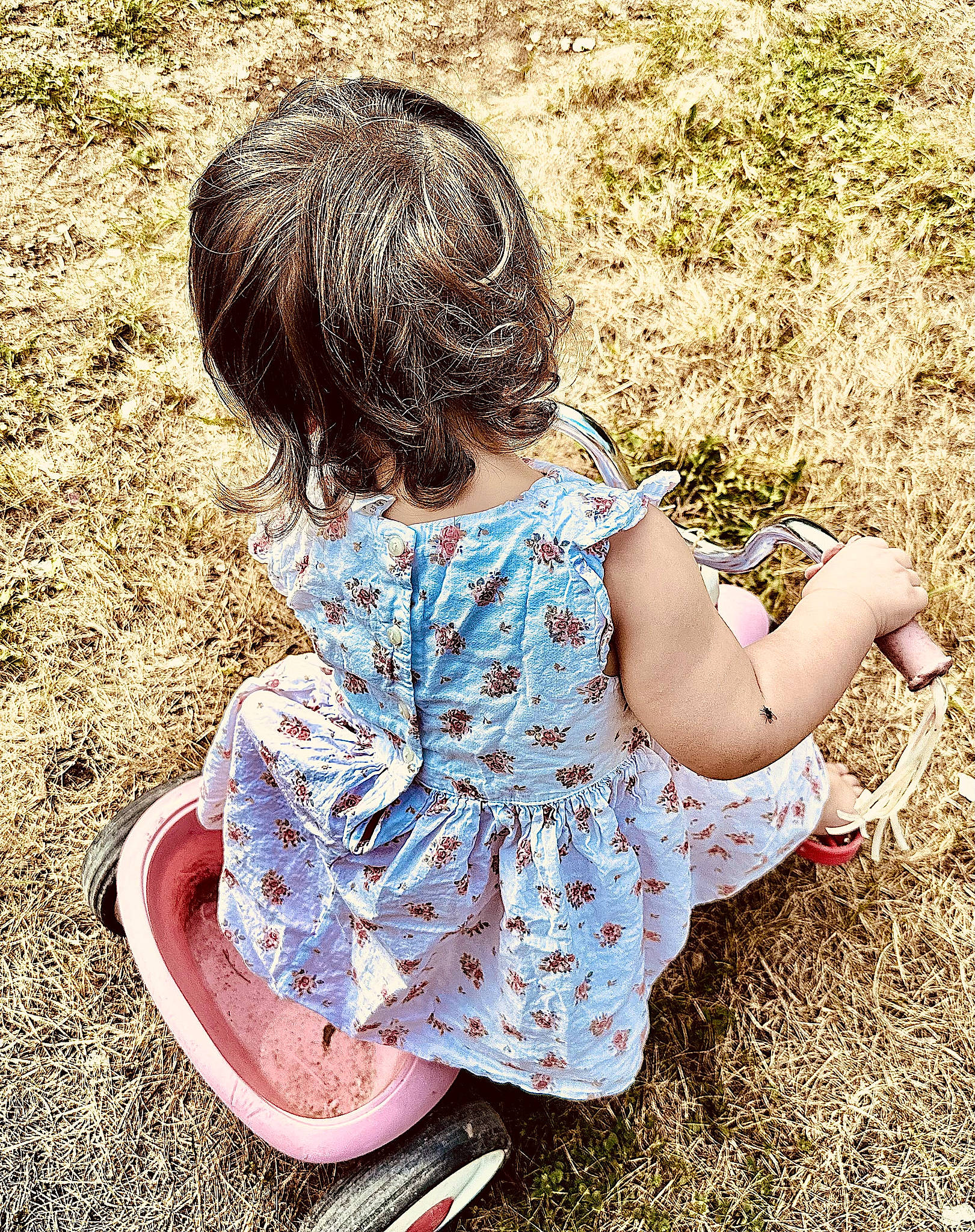 Lilliana is registered to the contest to win money with this photo: baby_toddler_clothing, child, foot, grass, grass_family, grassland, happy, human_leg, leaf, pattern, people_in_nature, person, plant, play, shadow, sitting, sleeve, soil, spring, tints_and_shades