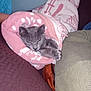 cat, blanket, gray_cat, cozy, indoor, couch, furniture, patterned_blanket, relaxed, pet, domestic_cat, comfort, snug, resting, pink, textile, carpet, paw, feline, wrapped
