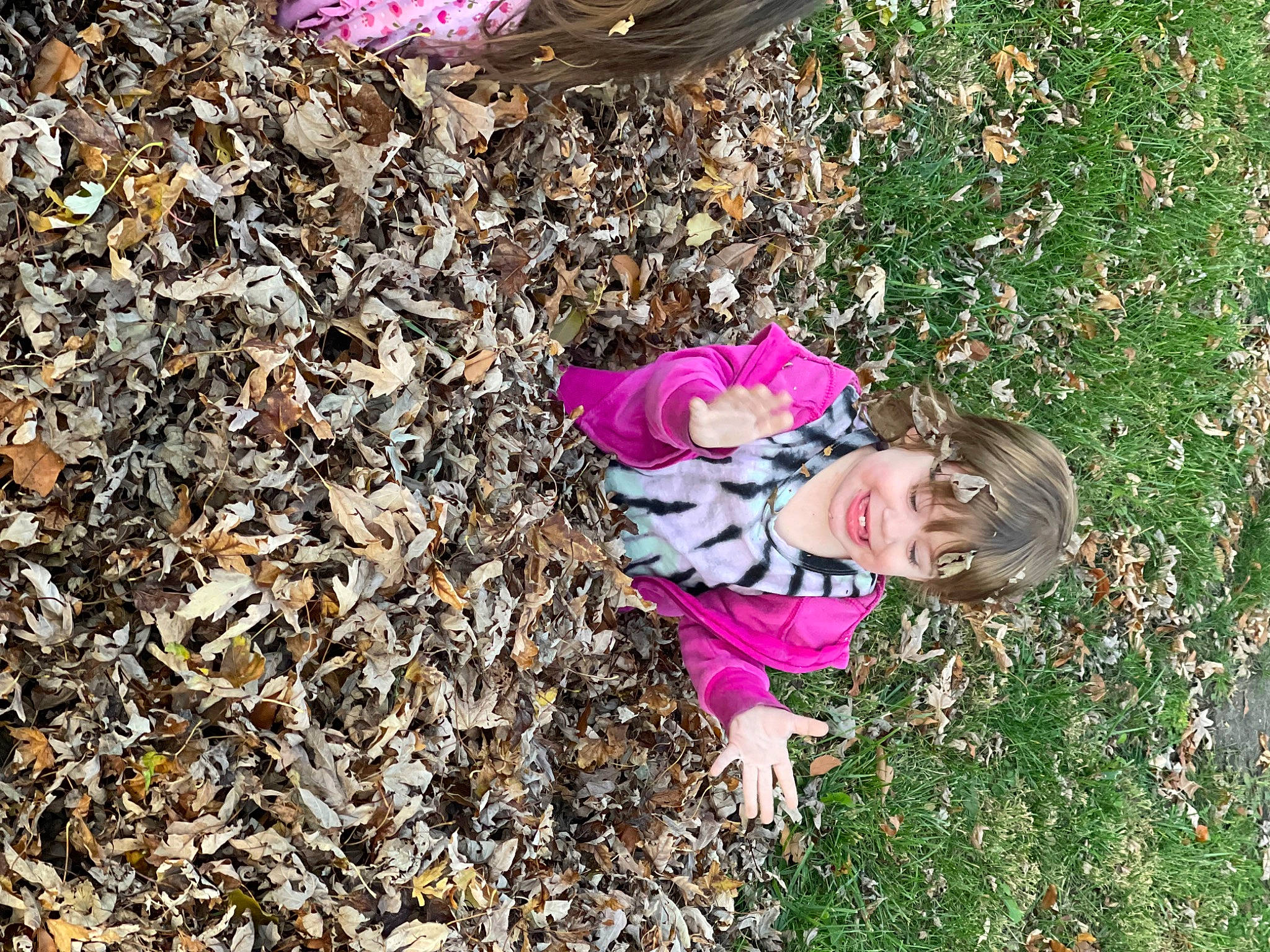 Enmerson joined the competition — help win amazing prizes! autumn, child, deciduous, flower, fun, garden, grass, groundcover, happy, joy, leaf, magenta, people_in_nature, person, petal, plant, smile, soil, sunglasses, tints_and_shades