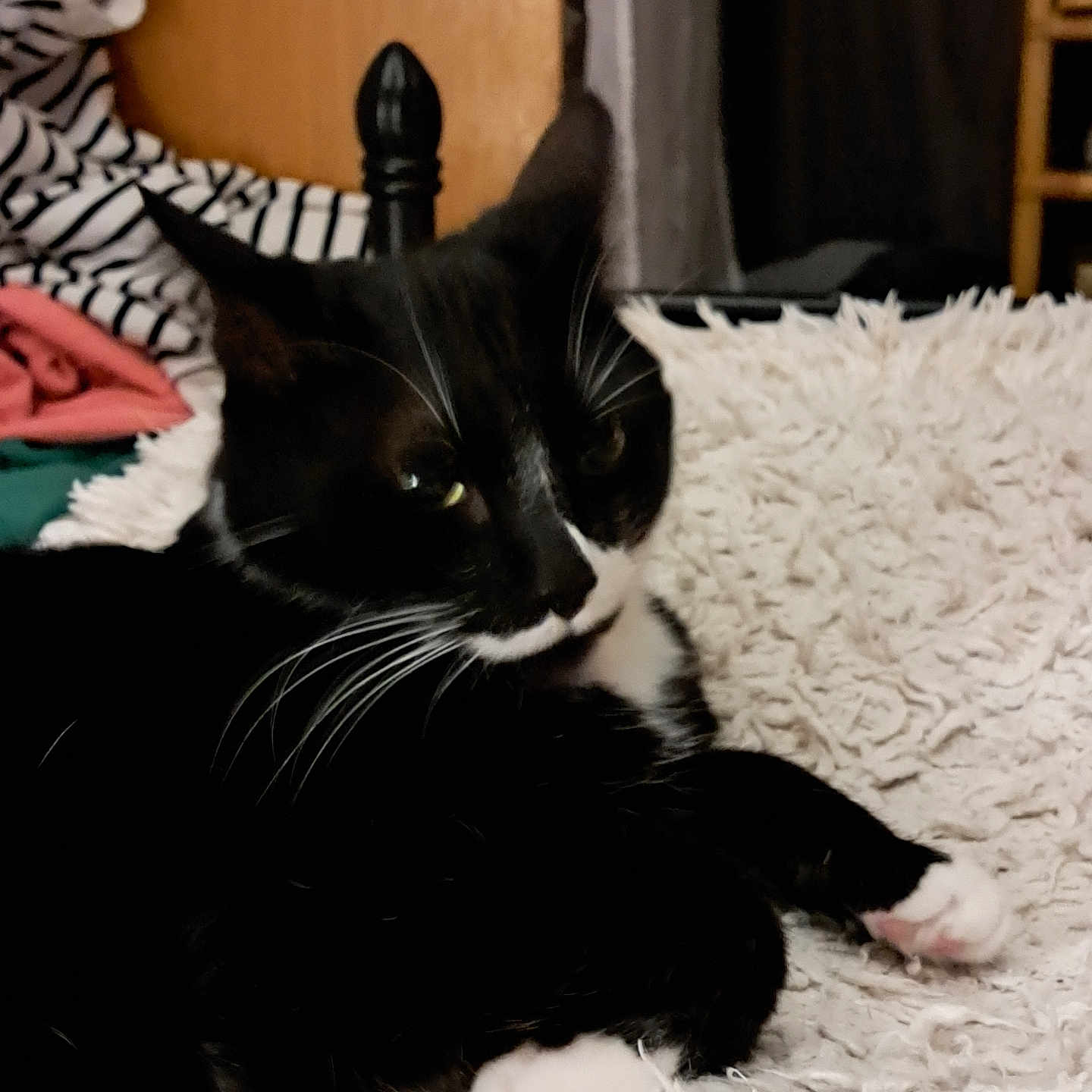 Berlioz
