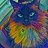 animal, artistic, book, cat, closeup, collar, colorful, cute, decor, eyes, face, feline, fluffy_fur, indoor, neon, pet, portrait, psychedelic, vibrant_colors, whiskers