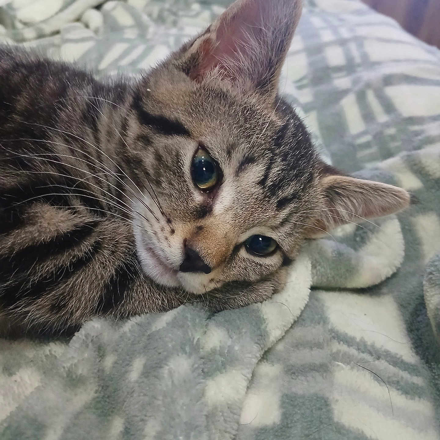 Tigger