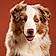 Arlo