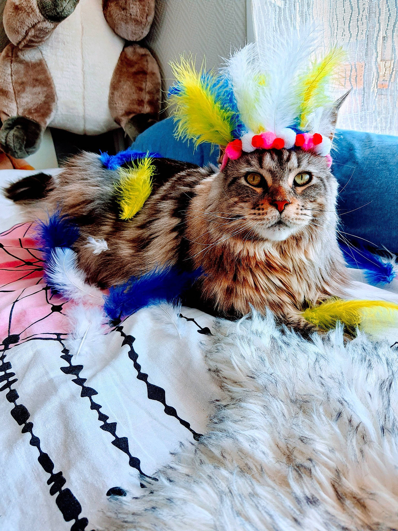 Nymphea a rejoint le concours — aidez-le/la à gagner de superbes lots ! carnivore, cat, felidae, fur, kitten, maine_coon, norwegian_forest_cat, small_to_medium_sized_cats, tabby_cat, tail, whiskers