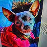 Piper is registered to the contest to win money with this photo: animal, artistic_filter, canine, closeup, colorful, companion, curious, cute, dog, ears, fur, indoor, looking, painting_effect, pet, portrait, red_jacket, small_dog, stylized, vibrant_colors