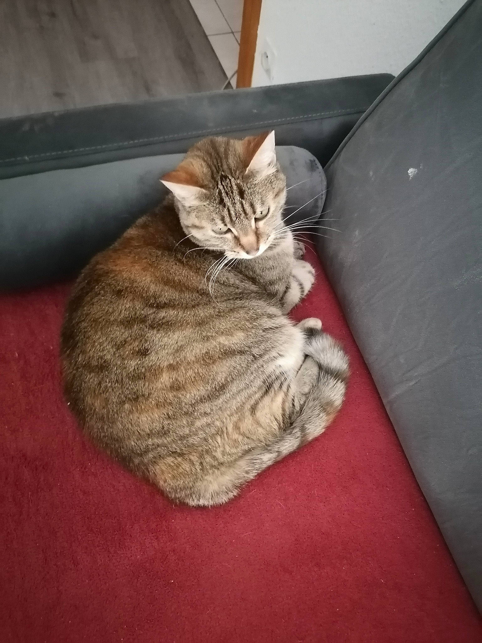 Mia