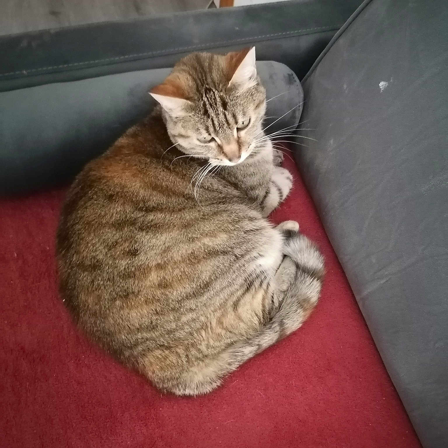 Mia