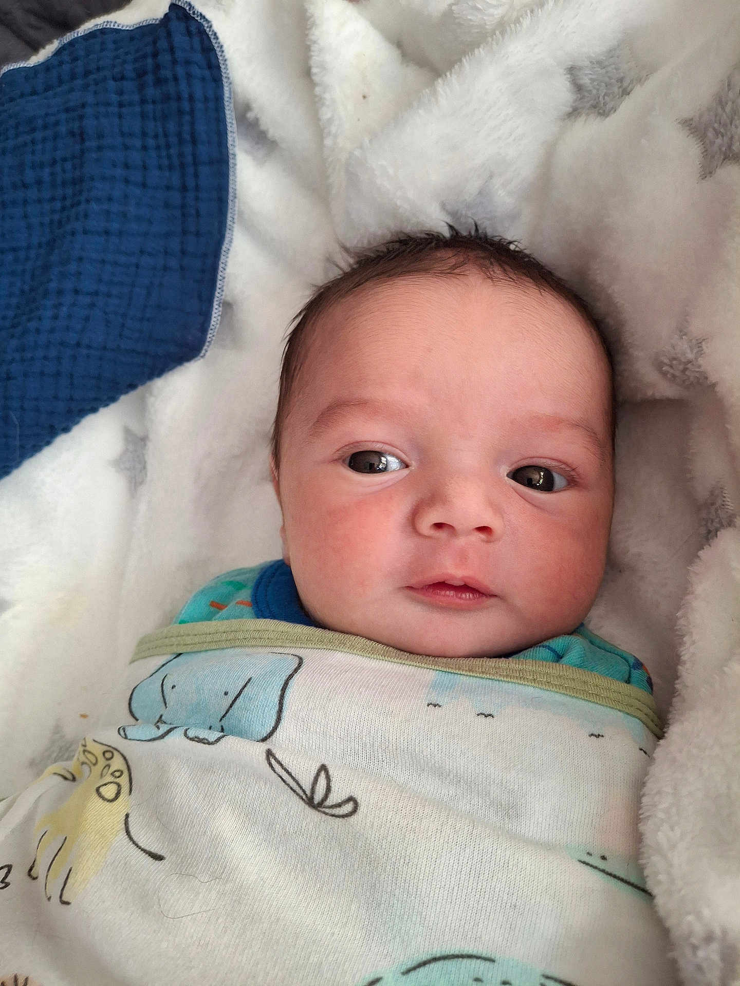 Elyes a rejoint le concours — aidez-le/la à gagner de superbes lots ! baby, blanket, child, clothing, comfort, cozy, cute, expression, face, head, indoors, infant, newborn, person, resting, skin, sleepwear, soft, swaddle, warm