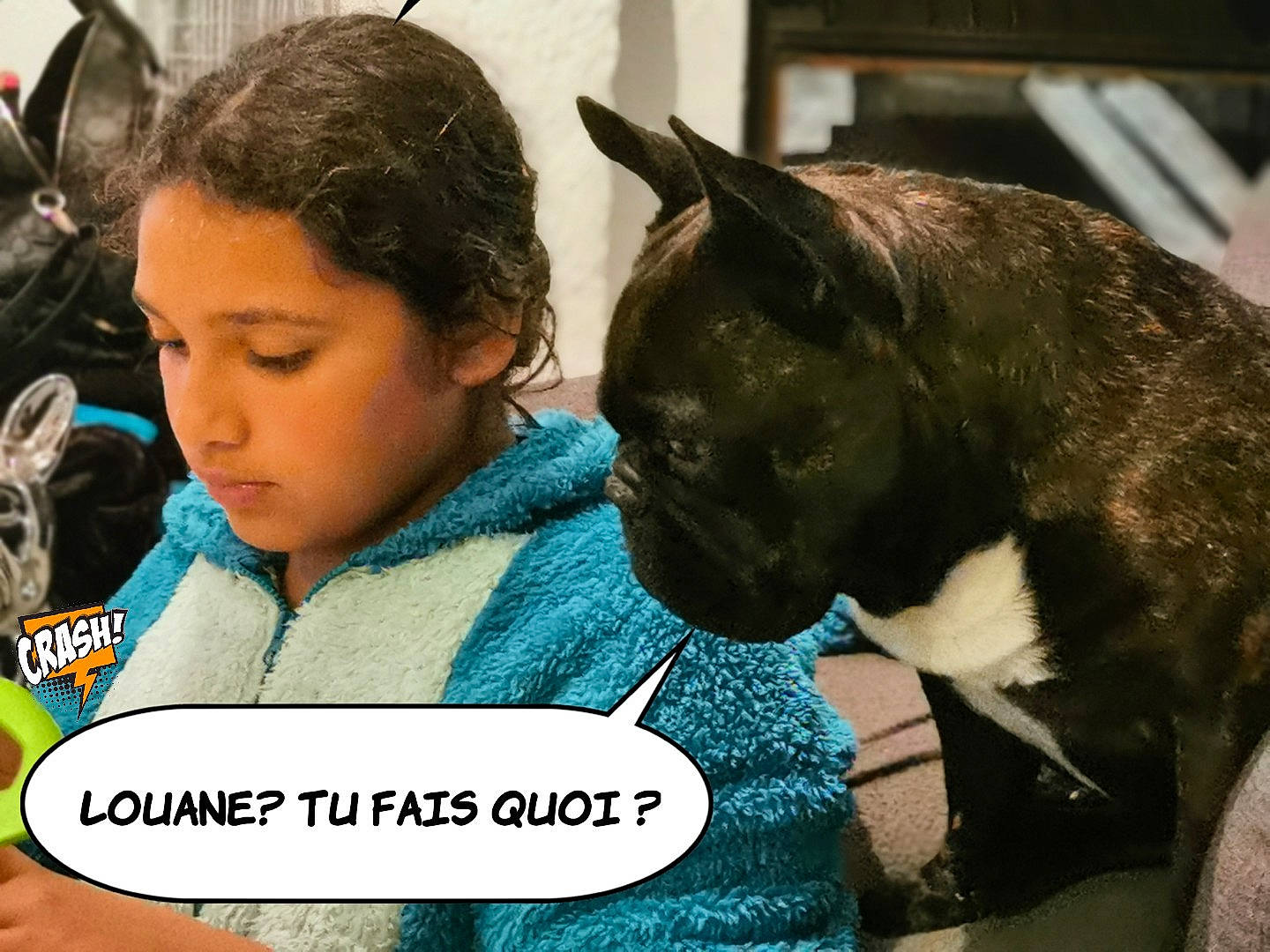 Djay a rejoint le concours — aidez-le/la à gagner de superbes lots ! black_hair, carnivore, cat, comfort, felidae, fur, hearing, hood, hoodie, human, iris, mammal, organ, organism, small_to_medium_sized_cats, snout, sweater, vertebrate, whiskers, working_animal