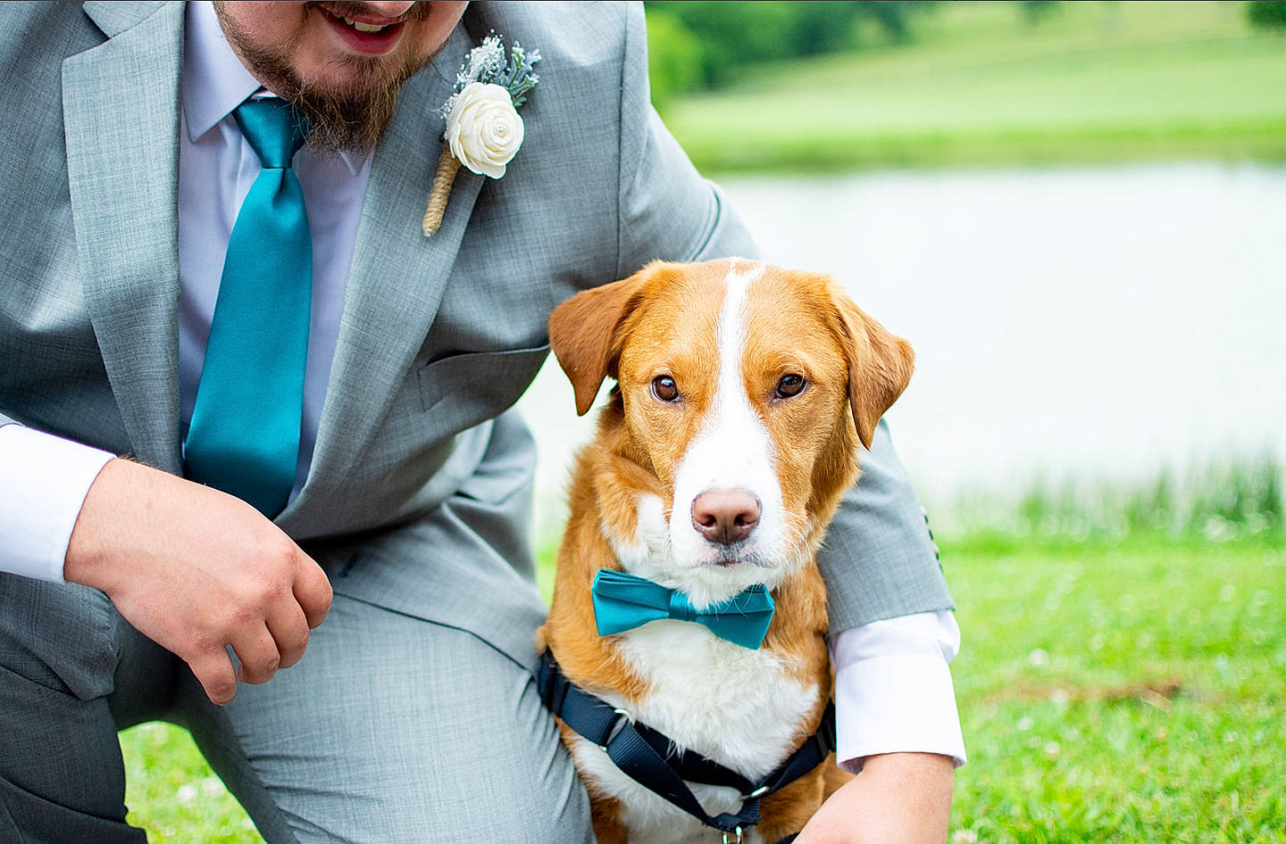 Elkin joined the competition — help win amazing prizes! austrian_pinscher, beagle, canidae, carnivore, companion_dog, dog, dog_breed, drever, fashion_accessory, hound, hunting_dog, male, mammal, puppy, puppy_love, sporting_group, vertebrate, working_dog