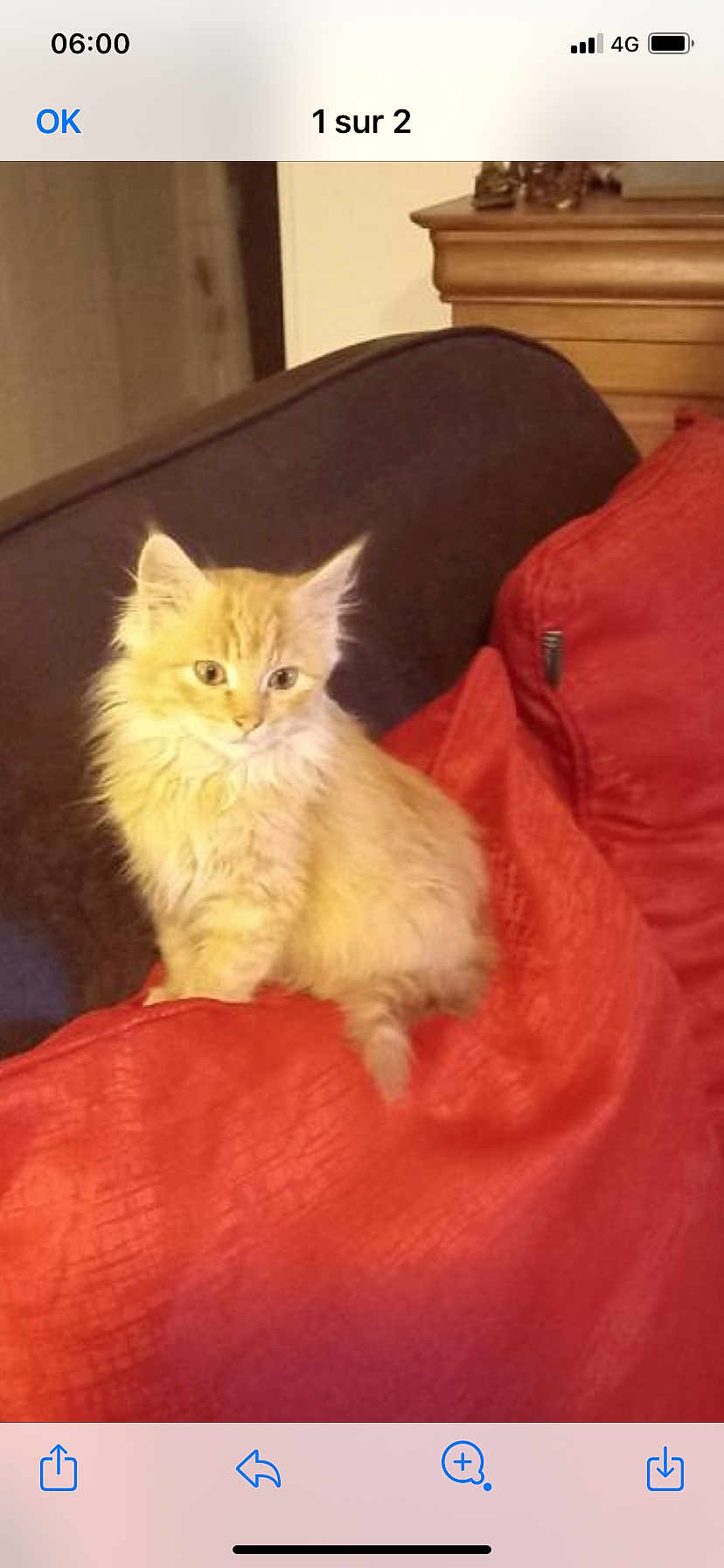 Tina