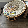 cat, orange_cat, sleeping, cushion, blanket, round_chair, wooden_floor, indoor, furniture, table, resting, pet, cozy, relaxed, home, window, radiator, colorful_blanket, domestic, quiet