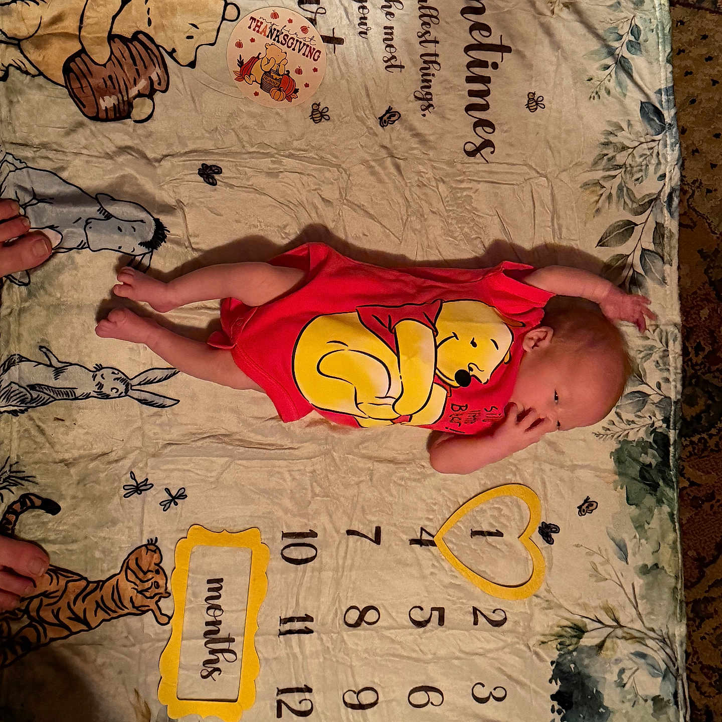 Darron is registered to the contest to win money with this photo: animal_characters, baby, carpet, cute, feet, hand, illustration, infant, lying_down, milestone_blanket, months, newborn, numbers, onesie, portrait, red_clothing, soft_texture, sticker, thanksgiving, winnie_the_pooh
